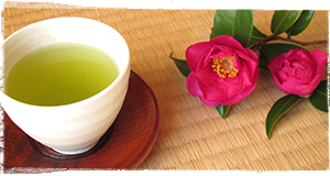 日本茶と椿の花